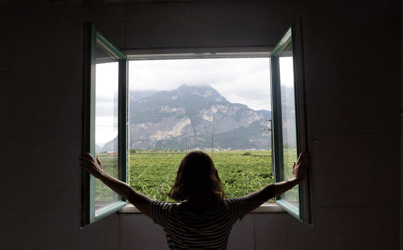 Startup Diary Feral #4 - The day we found our home