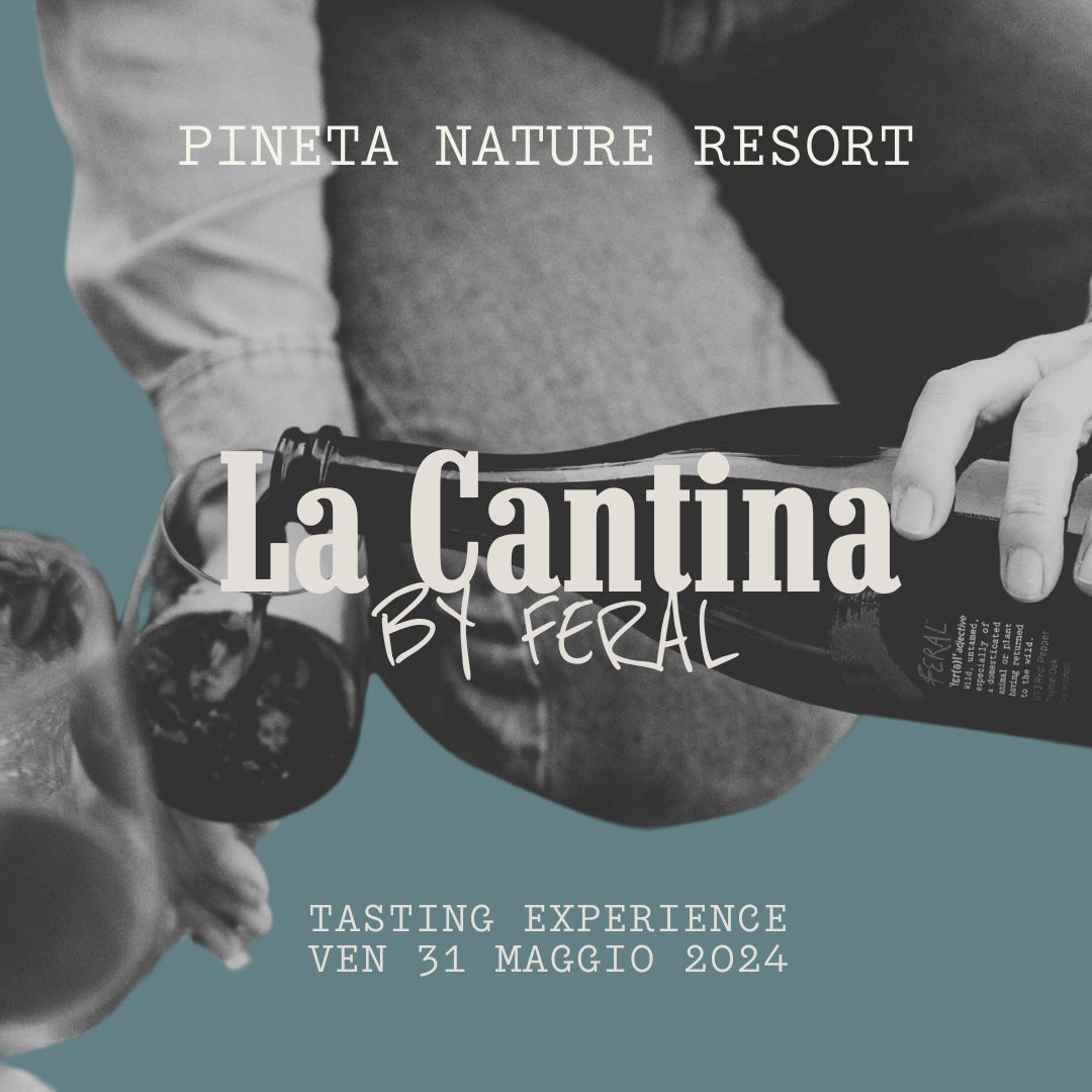 La Cantina by feral