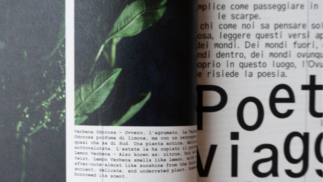 Feralzine – Prima Edizione:  “Nessuno è fuori-luogo. Tutti siamo fuori-luogo