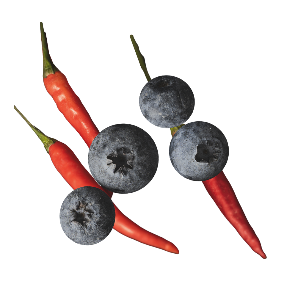 Feral Bevande Analcoliche Fermentate dalle Dolomiti 0 alcol