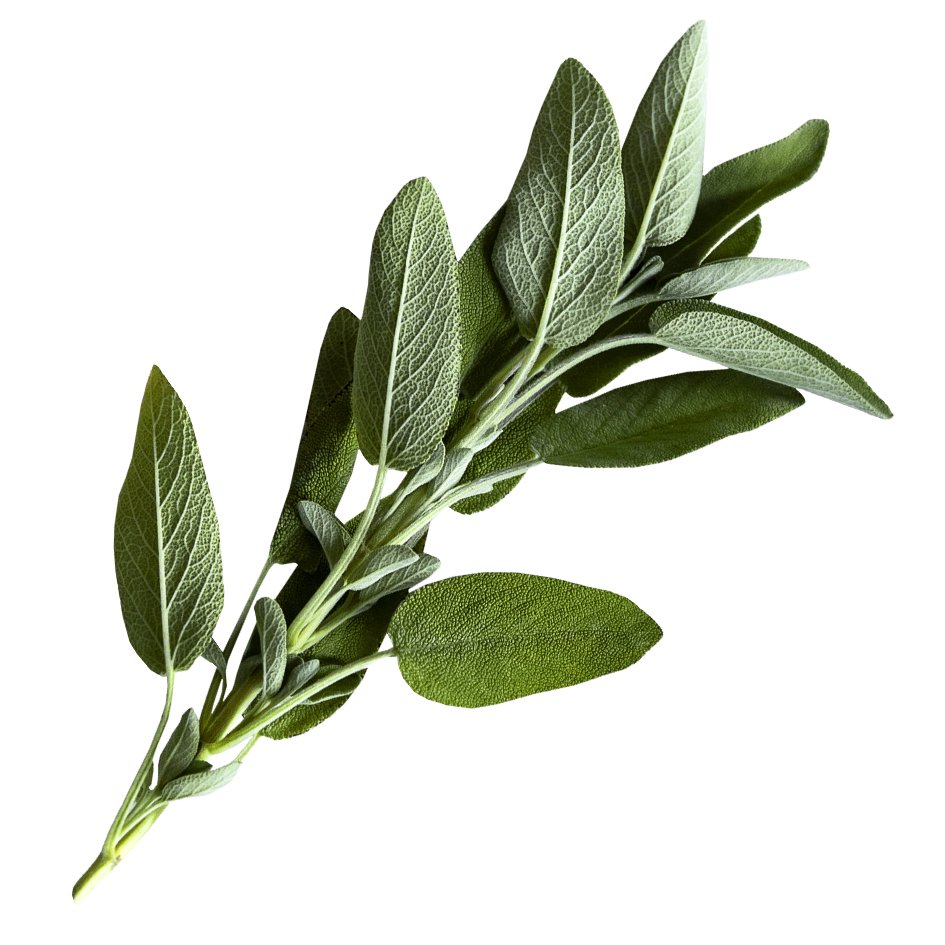 sage