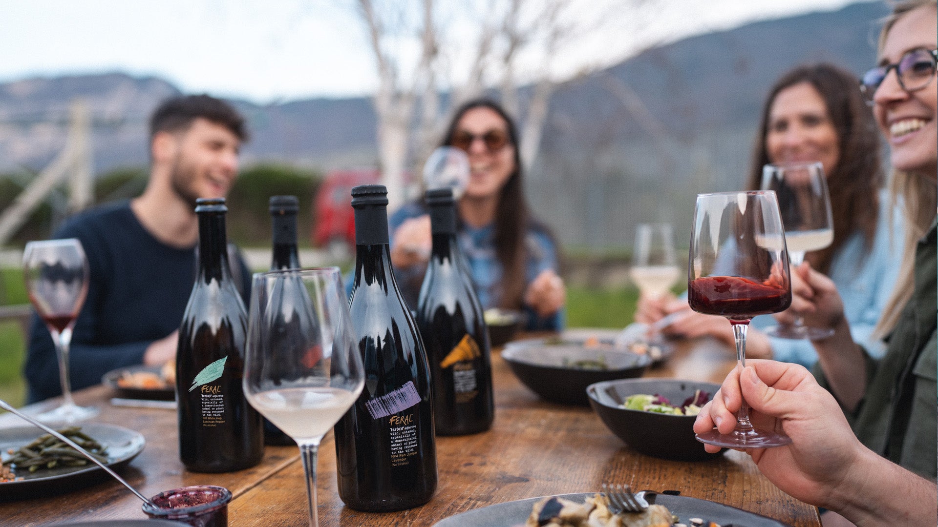 Feral Bevande Analcoliche Fermentate dalle Dolomiti 0 alcol